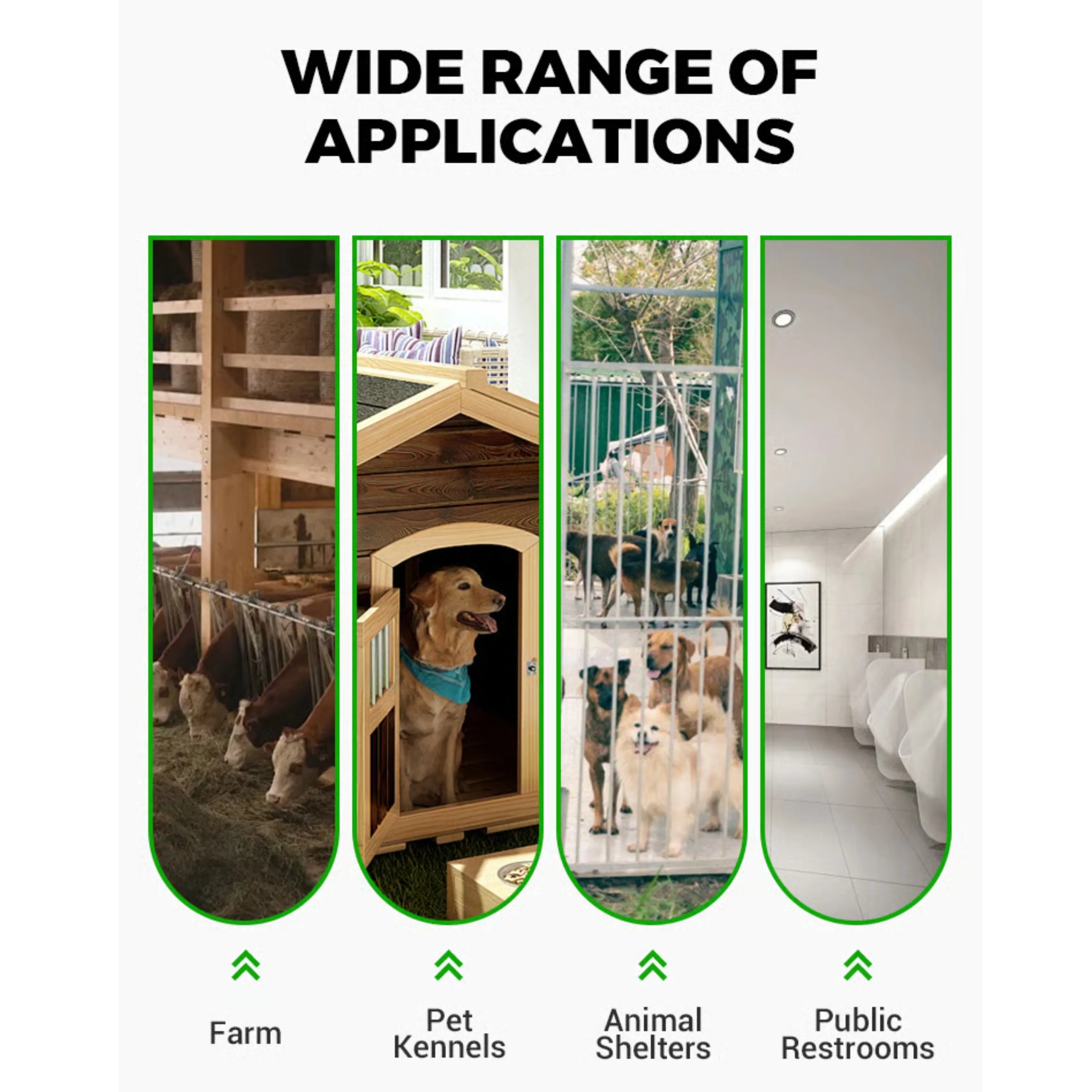 Fast-Acting Fly Control Concentrate – Powerful Insect Killer for Indoor & Outdoor Use