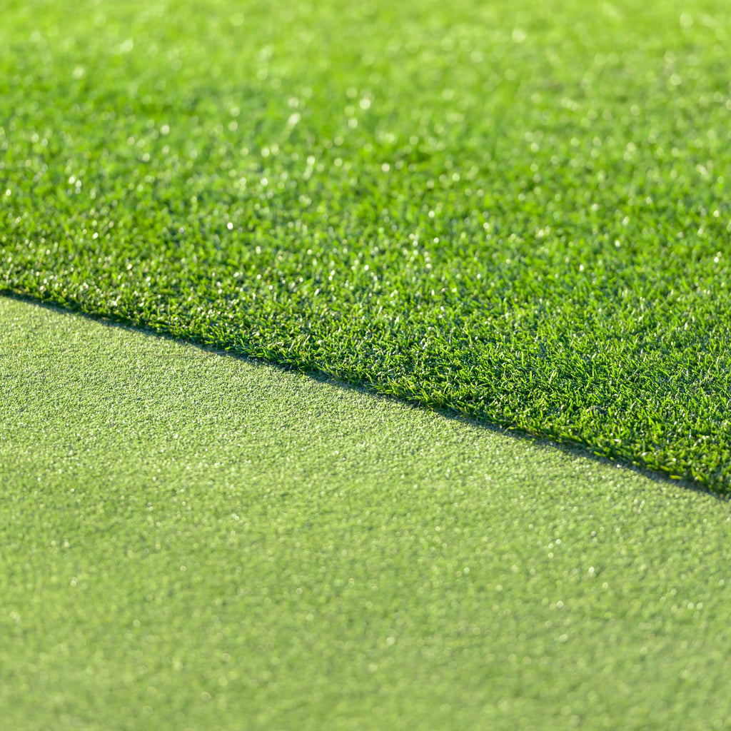 All Seasons Evergreen Grass Seeds | Fast Germination | Year-Round Beautiful Green Lawn